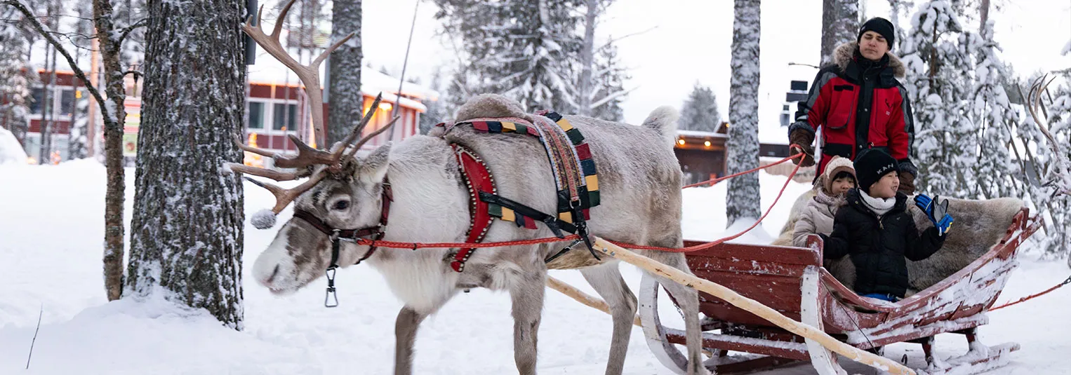 banner-the-ultimate-christmas-bucket-list-8-ideas-for-holiday-1